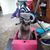 Pam Gassmann's profile image