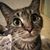 Lisa Jackson's profile image