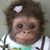 Jan Valentino's profile image