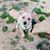 Randy Nielson's profile image