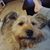 Donna Thompson-Durkee's profile image