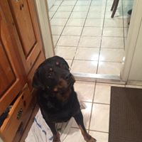 Manuel Cuevas's profile image