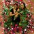 Martha Perez's profile image