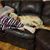 Kaye Daun Sorenson's profile image