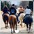 Julie Bridgman's profile image