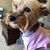 Melissa Gantz's profile image