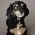 Carol Kovacik's profile image