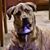Michelle Quimby O'Keefe's profile image