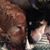 Janet Henderson Peterson's profile image