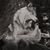 Matthew Lynn Wiseman's profile image