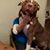 Suzanne Heredia's profile image