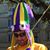 Lucas Armand's profile image
