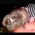 Kelly Ann Dolan's profile image