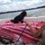Cindy Barker Allen's profile image