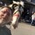 Joe Mier's profile image