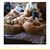 Chelle Morris's profile image