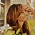 Amy Scruggs's profile image