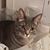 Beth Ann Peltier Choate's profile image