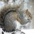 Al Bardon's profile image