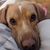 Rasheed Anne Marie's profile image