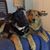 Wendy D'Olivo's profile image