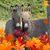 Judy Grandmaison Warren's profile image
