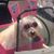 Missy Smith's profile image