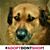 Larry Hiebel's profile image
