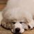 Tee Wms's profile image