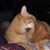 Mike Duckles's profile image