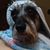 Santiago Boeri's profile image