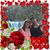 Jeannie Neal's profile image