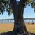 Peggy Baird's profile image