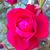 Kimberly L Castaneda's profile image