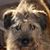 Kerry Hepler's profile image