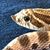 Wendy Littrell's profile image