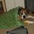 Esther Hurst Schmidt's profile image