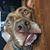 Sue Stober Frechette's profile image
