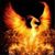 Mungai Njoroge's profile image