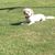 Betty J Lewis Myrick's profile image