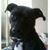Betsy Joy Millsaps's profile image
