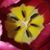 Eileen Moran's profile image