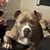 Jim Moncrief's profile image