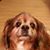 Angela Porter's profile image