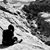 Lili Stajic's profile image
