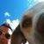 Chasse Gunter's profile image