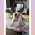 Pat Cobb Hazellief's profile image