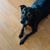 Dorea Noon Rubino's profile image