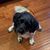 Adriane Lacey's profile image