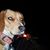 Tina Gurnee's profile image